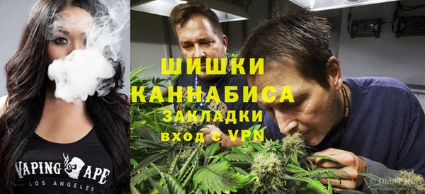 стаф Бронницы