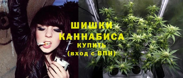 стаф Бронницы