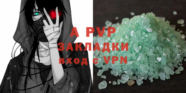 стаф Богородицк