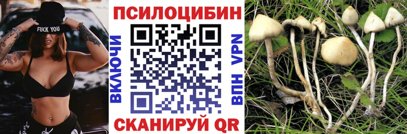 Псилоцибиновые грибы Psilocybe  Костомукша 